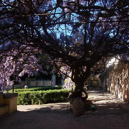 San Martinello Βίλα Περούτζια