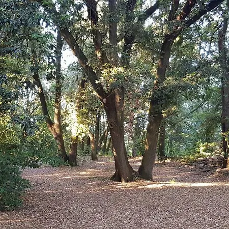San Martinello